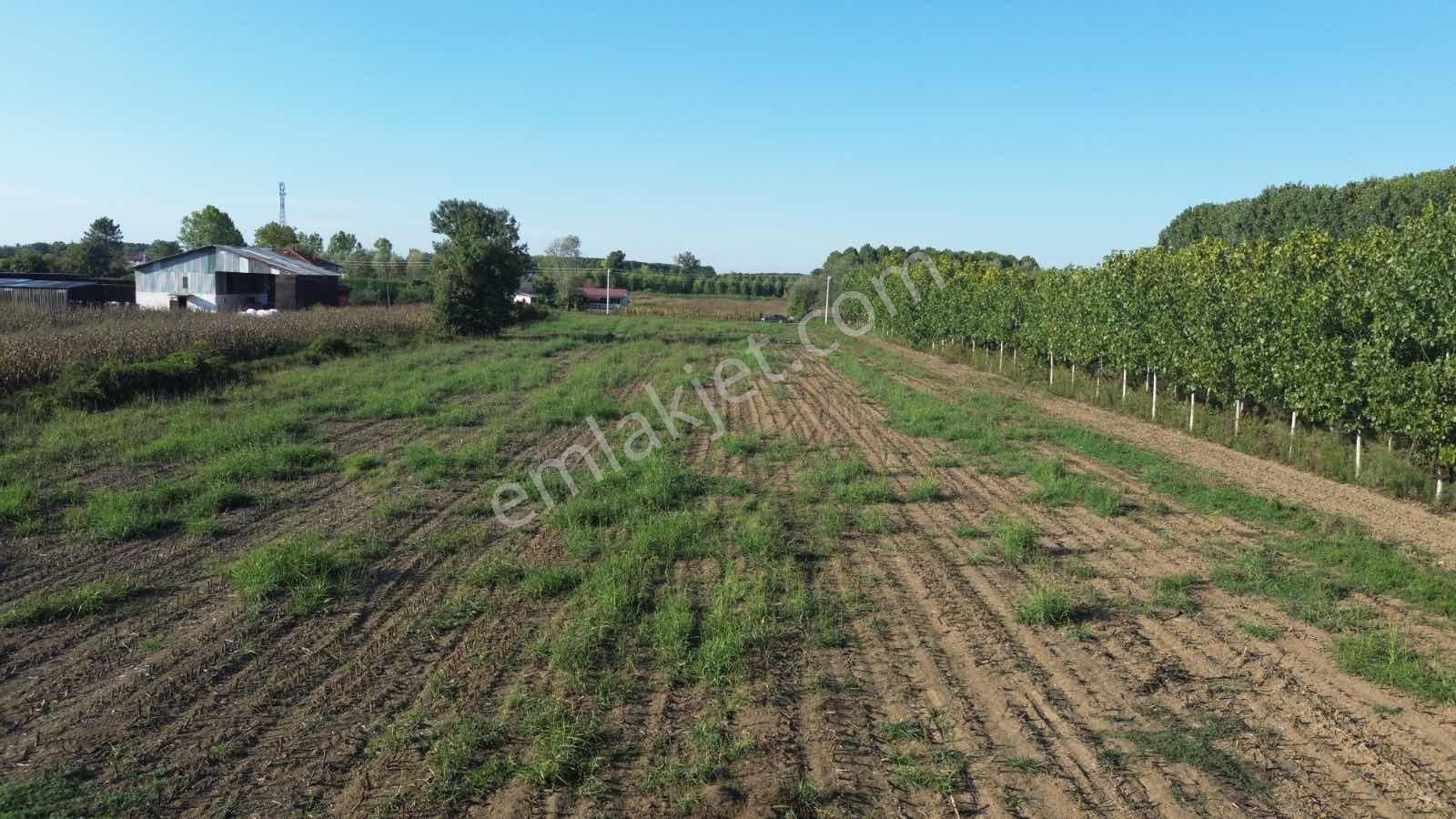 Yön Group'tan Vakıf'ta Satılık 7620m2 Arsa - Görsel 13