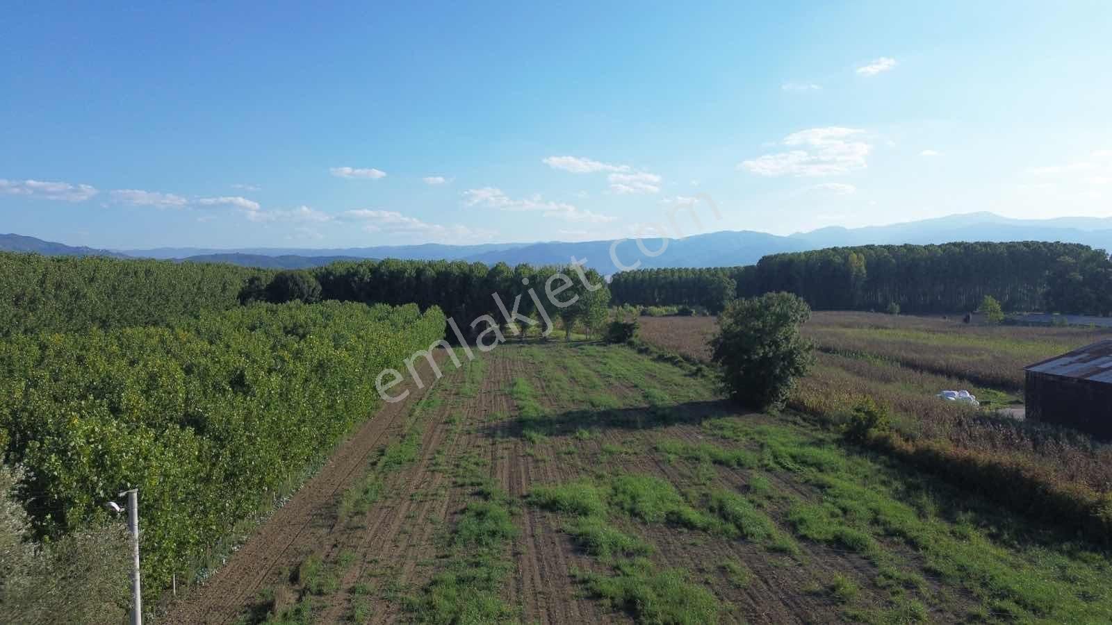 Yön Group'tan Vakıf'ta Satılık 7620m2 Arsa - Görsel 8