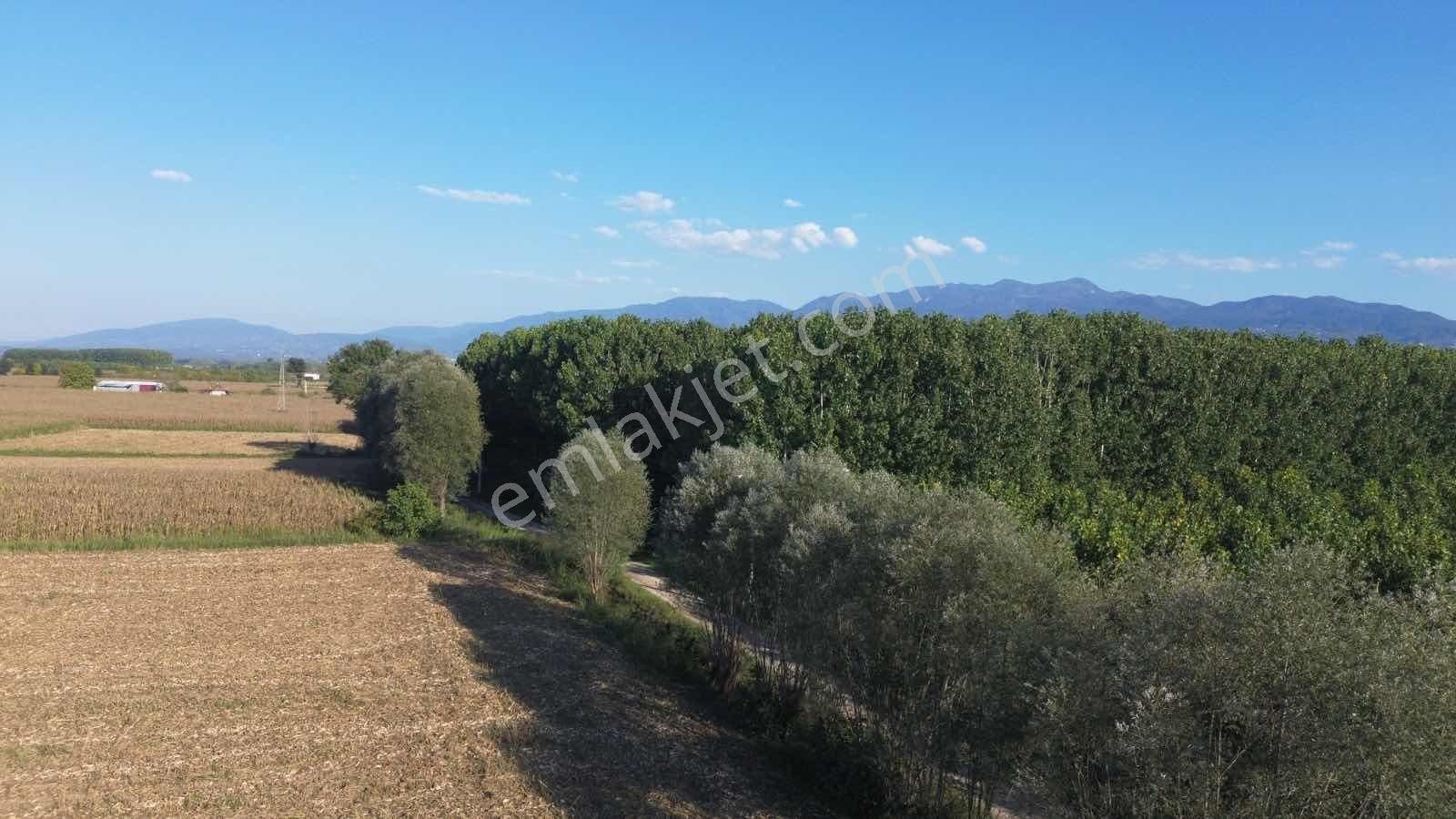 Yön Group'tan Vakıf'ta Satılık 7620m2 Arsa - Görsel 6