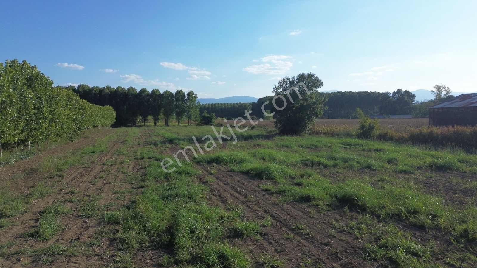 Yön Group'tan Vakıf'ta Satılık 7620m2 Arsa - Görsel 10