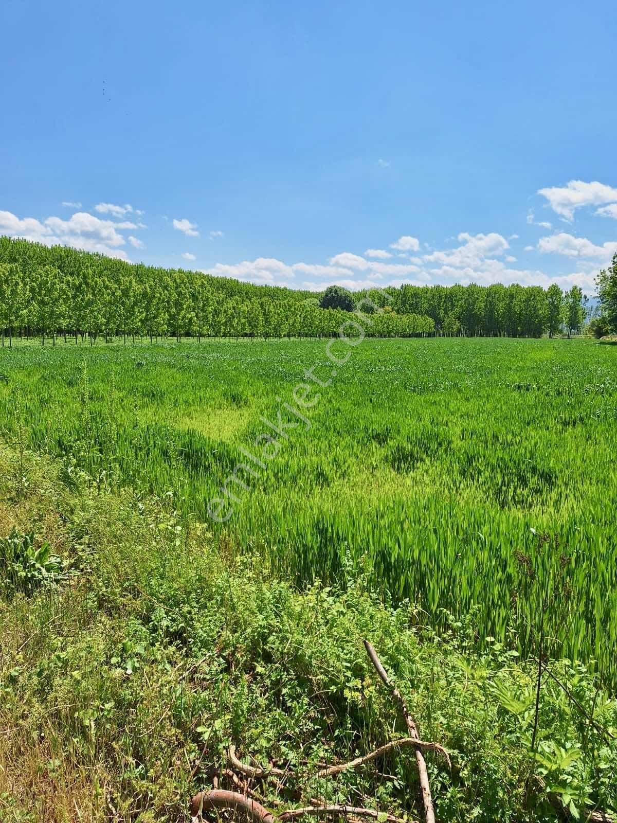 Yön Group'tan Vakıf'ta Satılık 7620m2 Arsa - Görsel 24