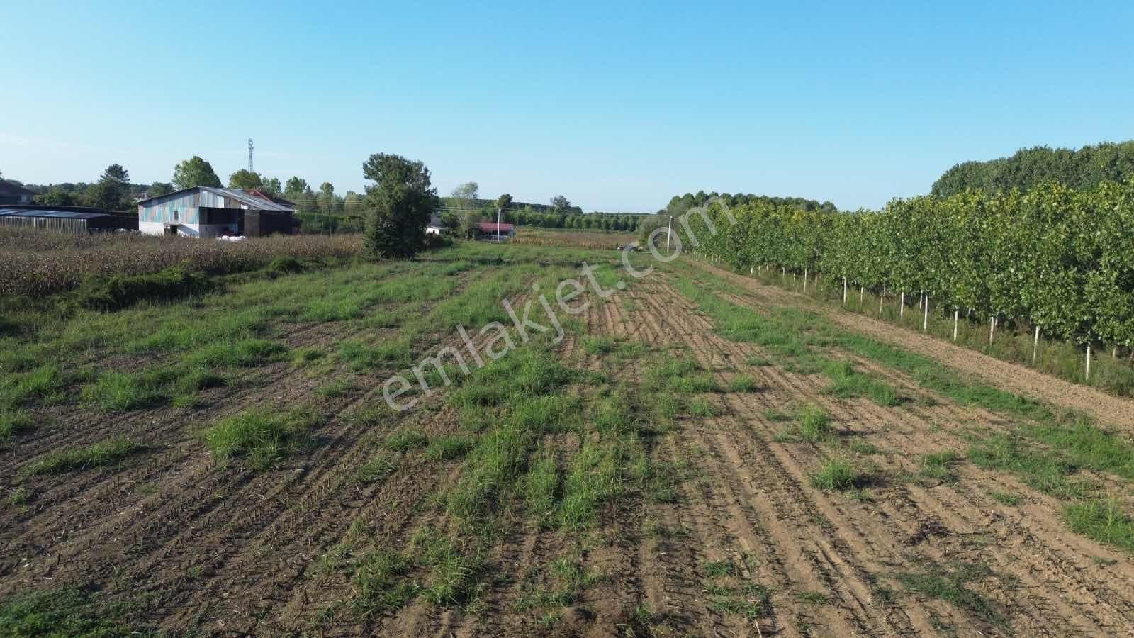 Yön Group'tan Vakıf'ta Satılık 7620m2 Arsa - Görsel 4