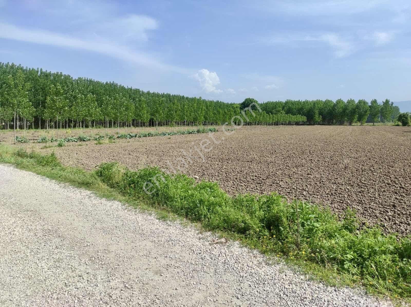 Yön Group'tan Vakıf'ta Satılık 7620m2 Arsa - Görsel 15