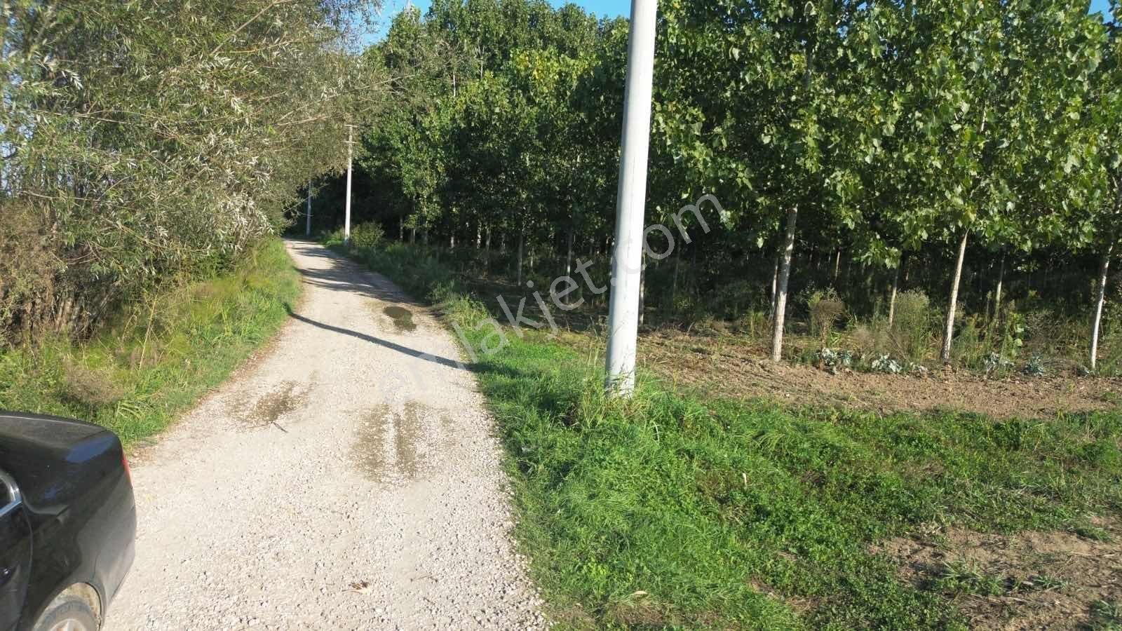 Yön Group'tan Vakıf'ta Satılık 7620m2 Arsa - Görsel 2