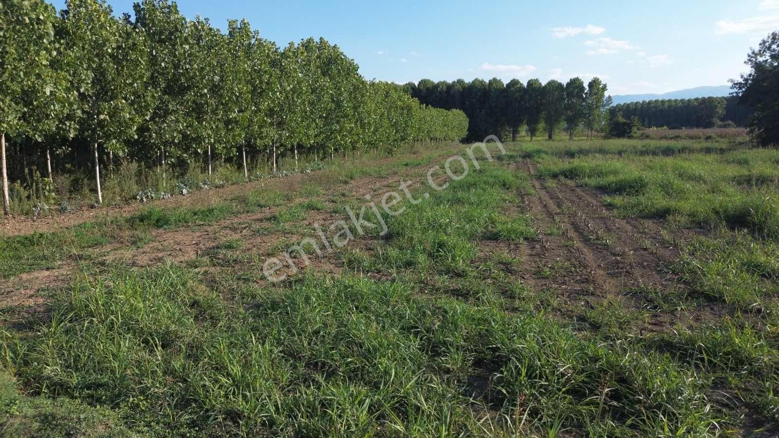 Yön Group'tan Vakıf'ta Satılık 7620m2 Arsa - Görsel 14