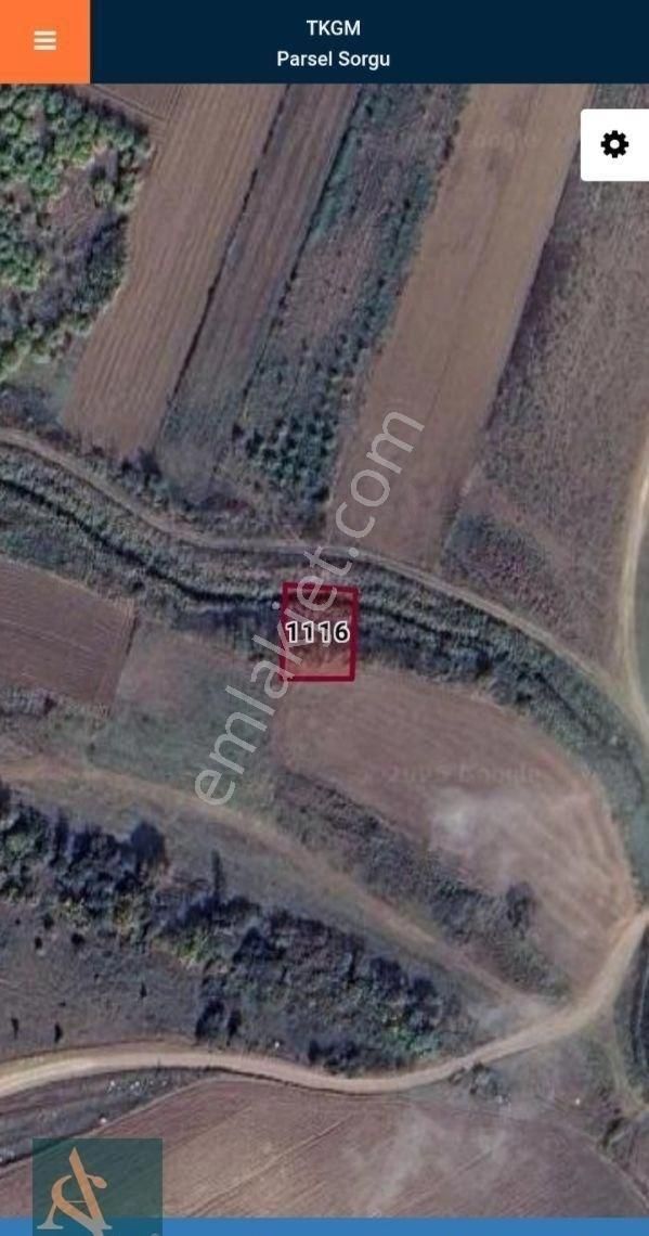 Karacabey Canbazda Satılık Yolu Olan Kupon Tarla