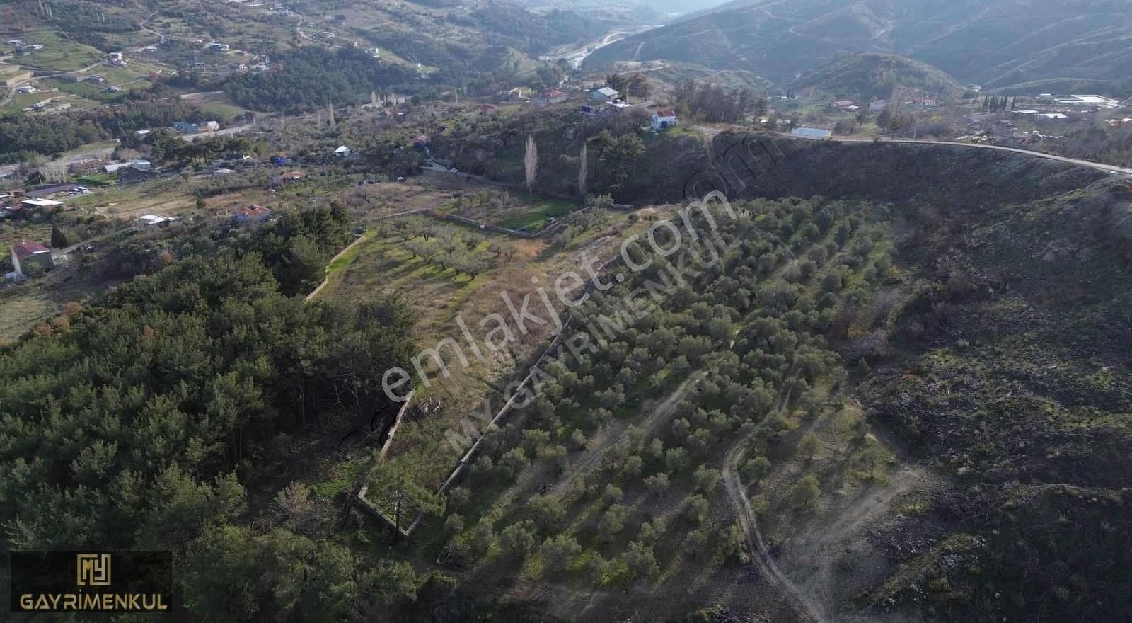 7800 M2 Tek Tapu Kadastral Yola Cepheli Zeytinlik - Görsel 7