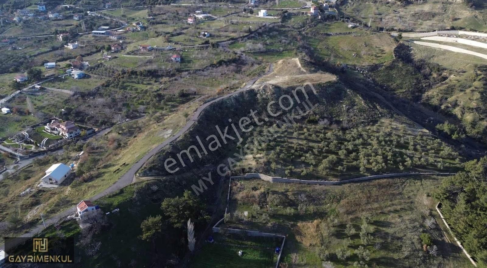 7800 M2 Tek Tapu Kadastral Yola Cepheli Zeytinlik - Görsel 4