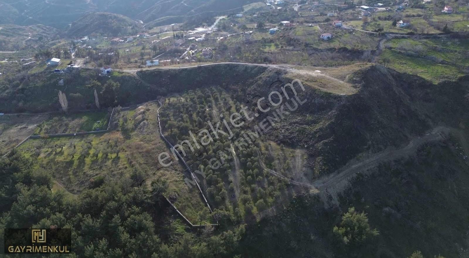 7800 M2 Tek Tapu Kadastral Yola Cepheli Zeytinlik - Görsel 9