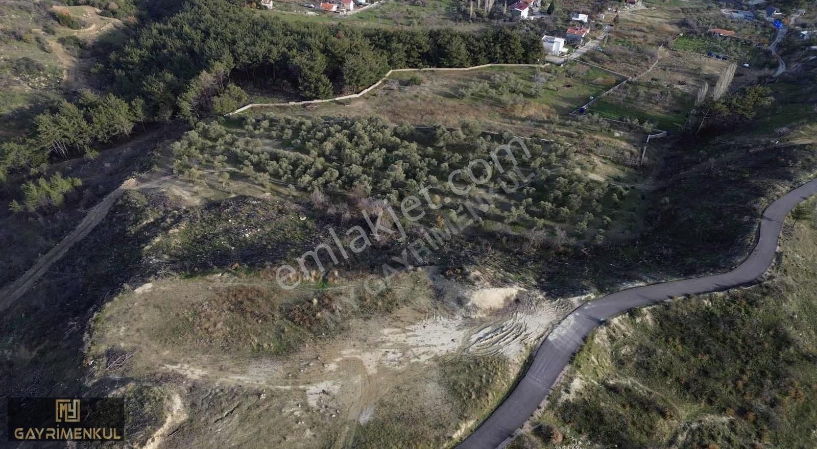 7800 M2 Tek Tapu Kadastral Yola Cepheli Zeytinlik - Görsel 12