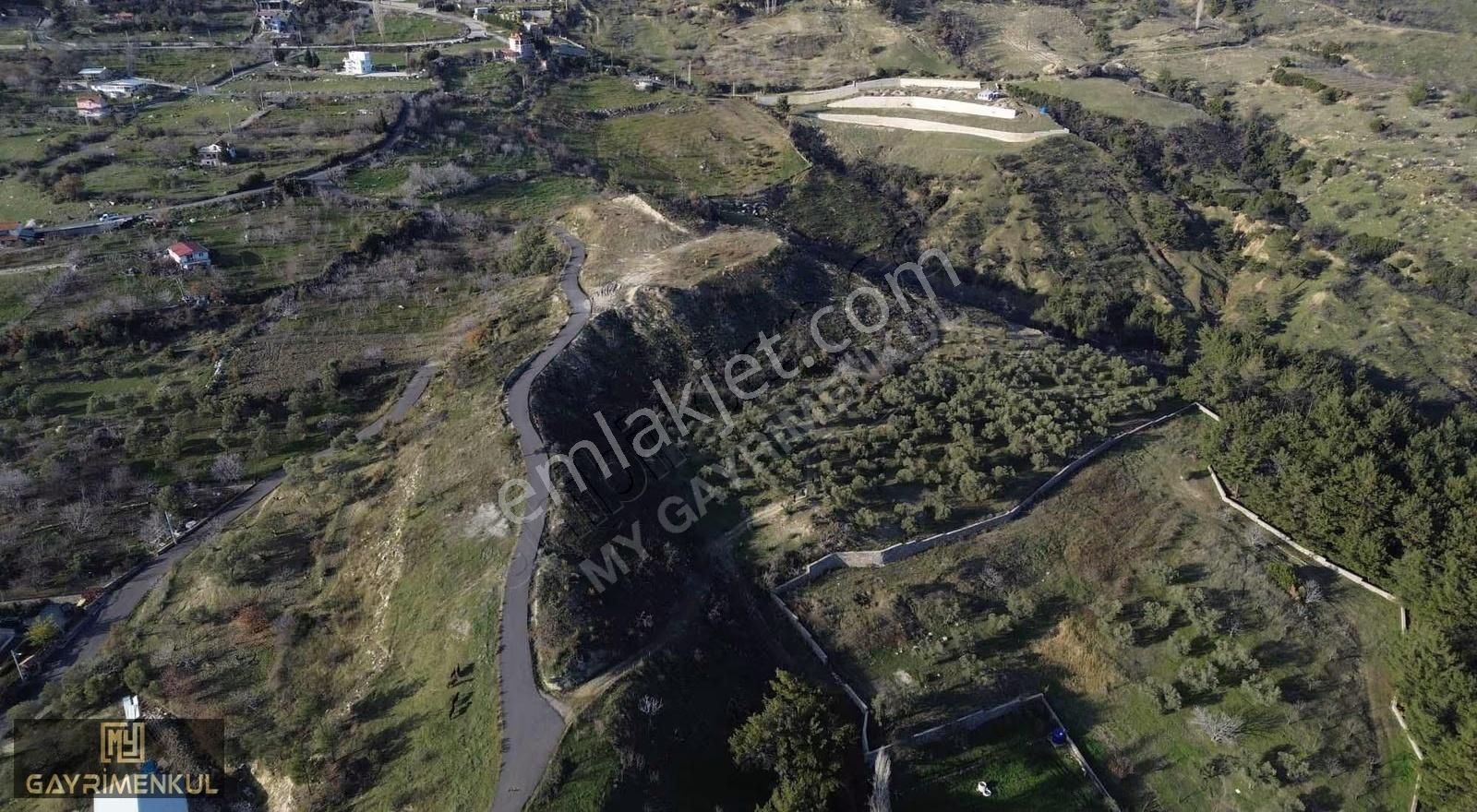 7800 M2 Tek Tapu Kadastral Yola Cepheli Zeytinlik - Görsel 10