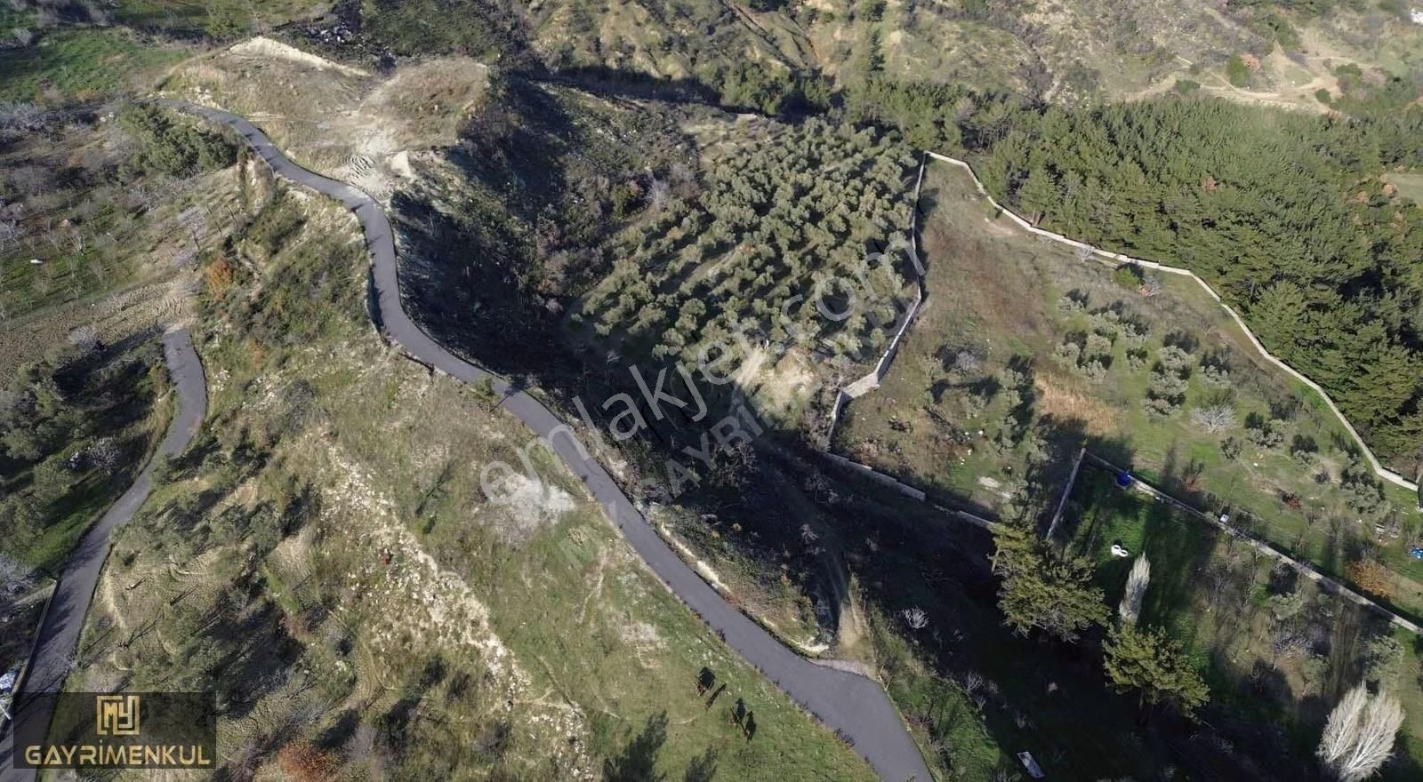 7800 M2 Tek Tapu Kadastral Yola Cepheli Zeytinlik - Görsel 11