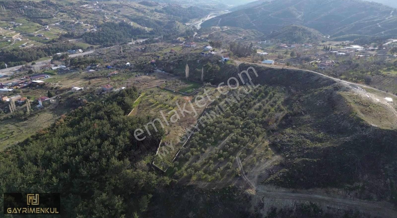 7800 M2 Tek Tapu Kadastral Yola Cepheli Zeytinlik - Görsel 2