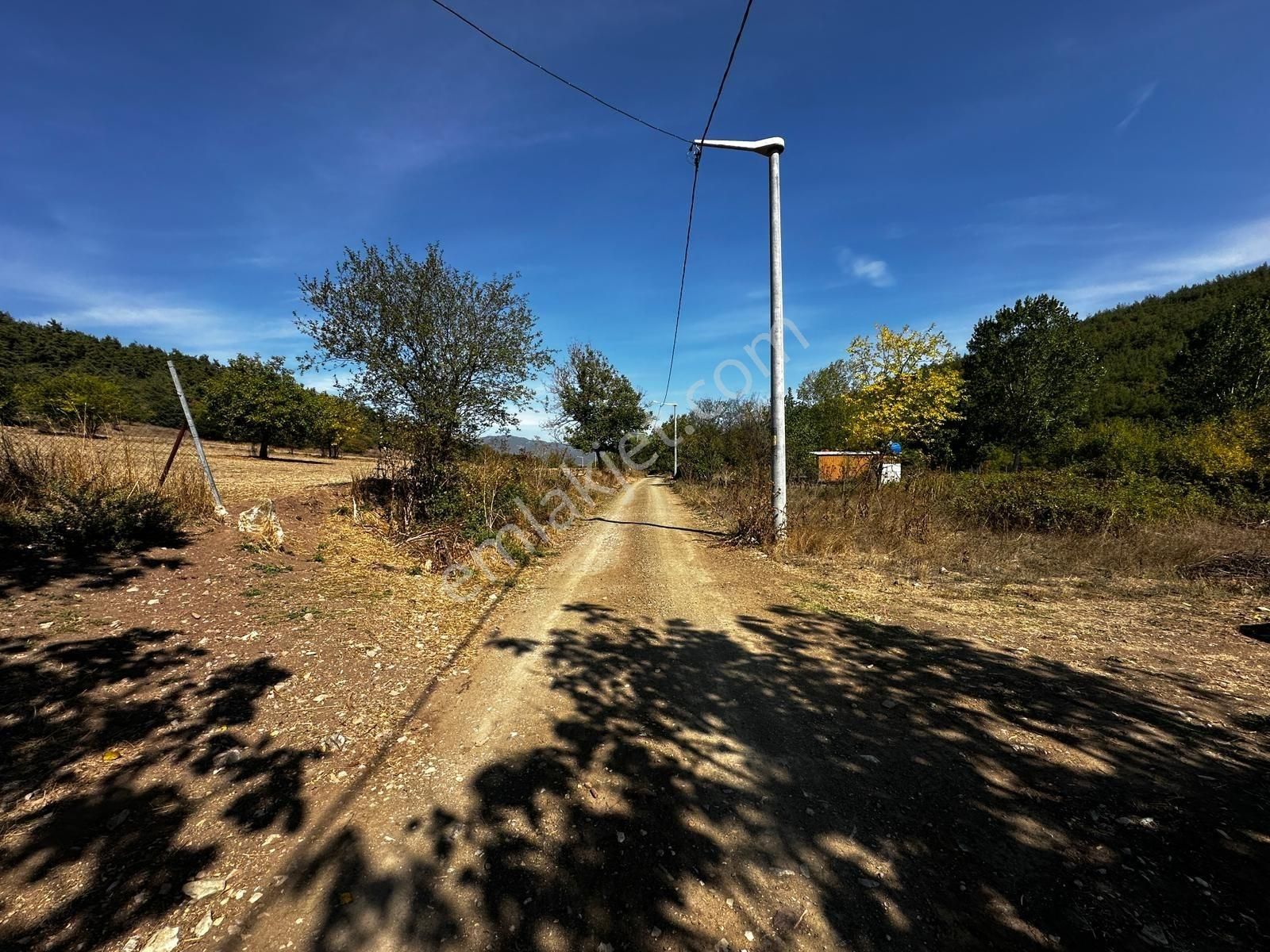 Bursa Yenişehir Marmaracıkta Yapı Kayıtlı Satılık Tarla - Görsel 9