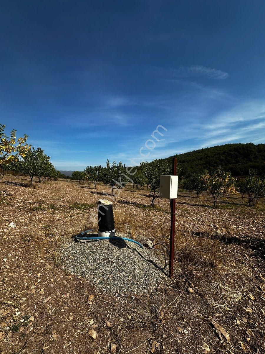 Bursa Yenişehir Marmaracıkta Yapı Kayıtlı Satılık Tarla - Görsel 3