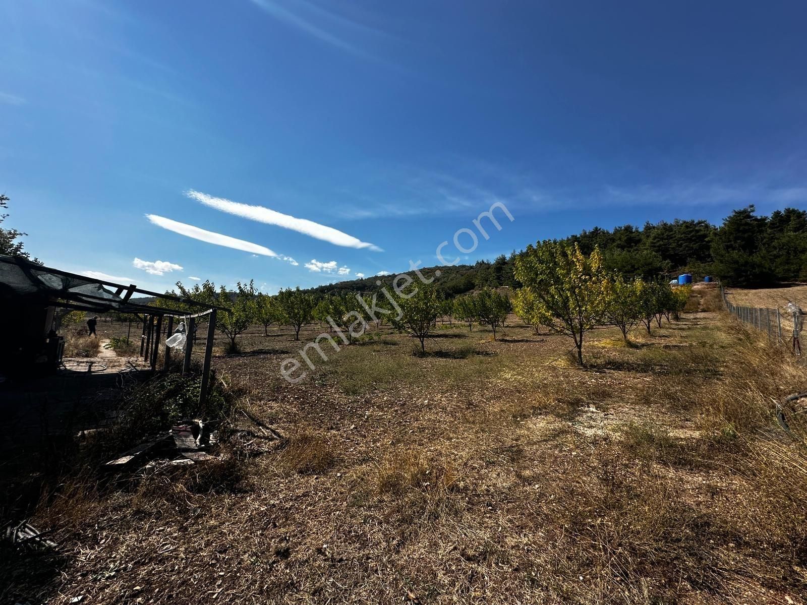 Bursa Yenişehir Marmaracıkta Yapı Kayıtlı Satılık Tarla - Görsel 30