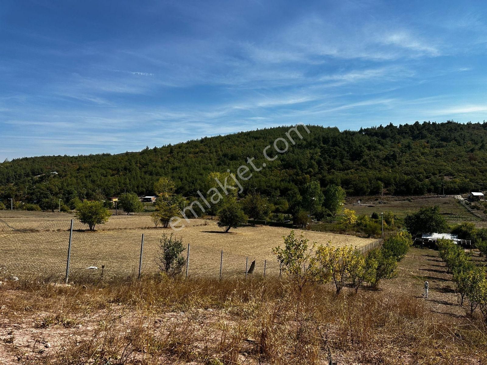 Bursa Yenişehir Marmaracıkta Yapı Kayıtlı Satılık Tarla - Görsel 26