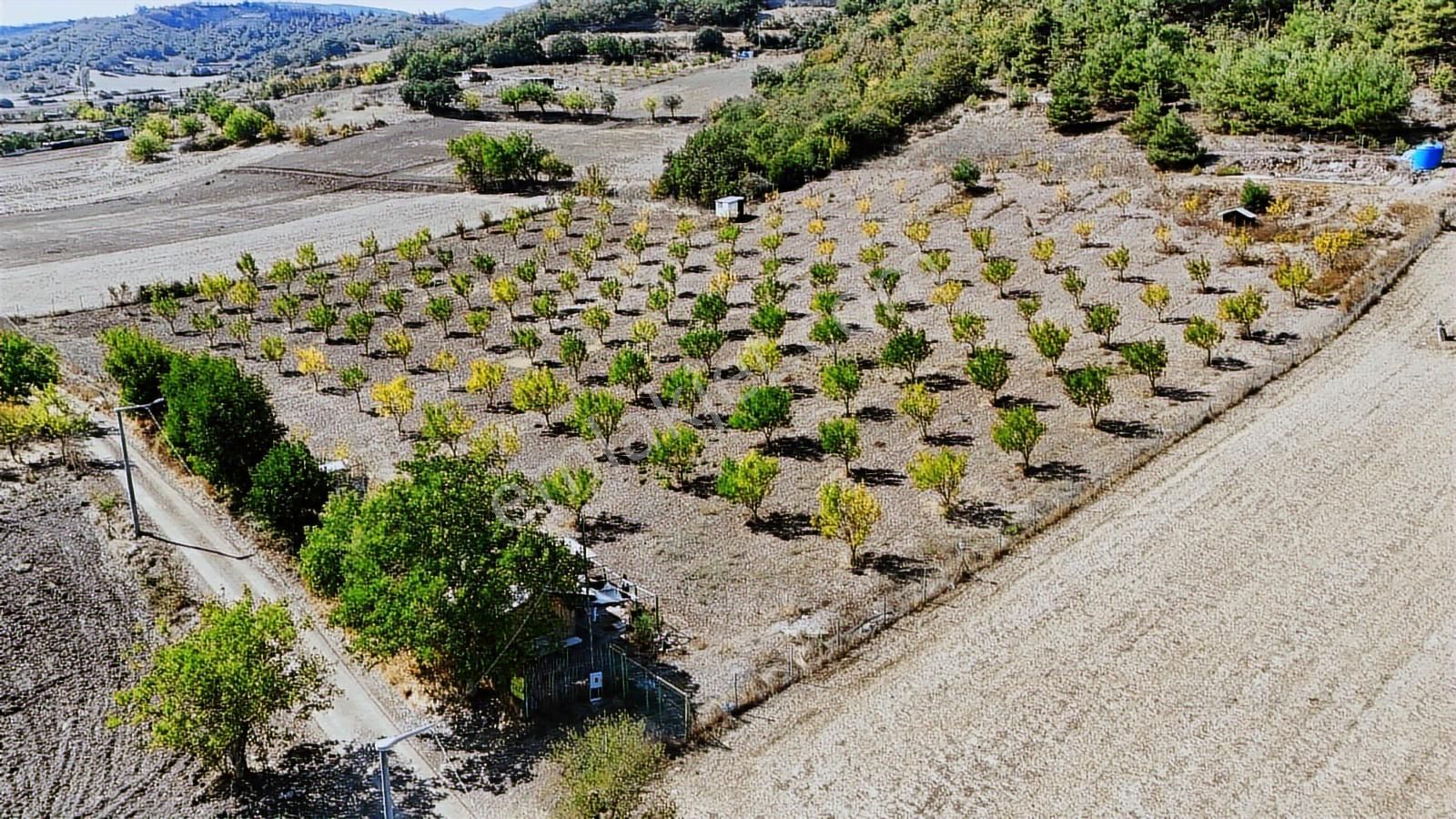 Bursa Yenişehir Marmaracıkta Yapı Kayıtlı Satılık Tarla - Görsel 10
