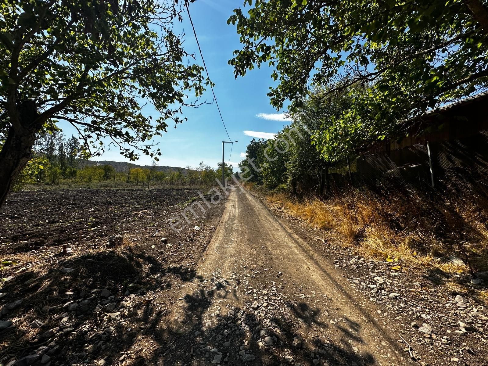 Bursa Yenişehir Marmaracıkta Yapı Kayıtlı Satılık Tarla - Görsel 19