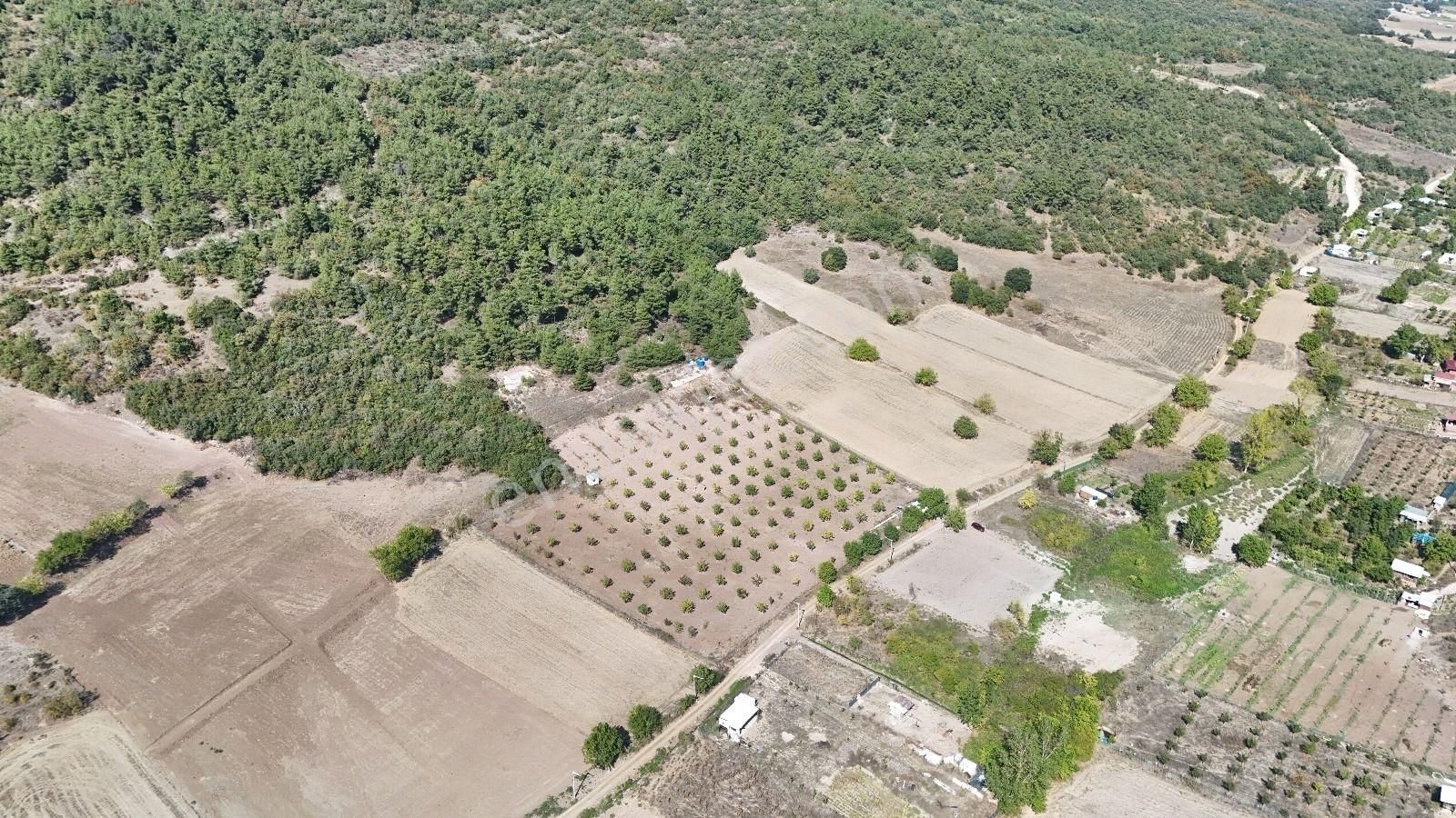 Bursa Yenişehir Marmaracıkta Yapı Kayıtlı Satılık Tarla - Görsel 11