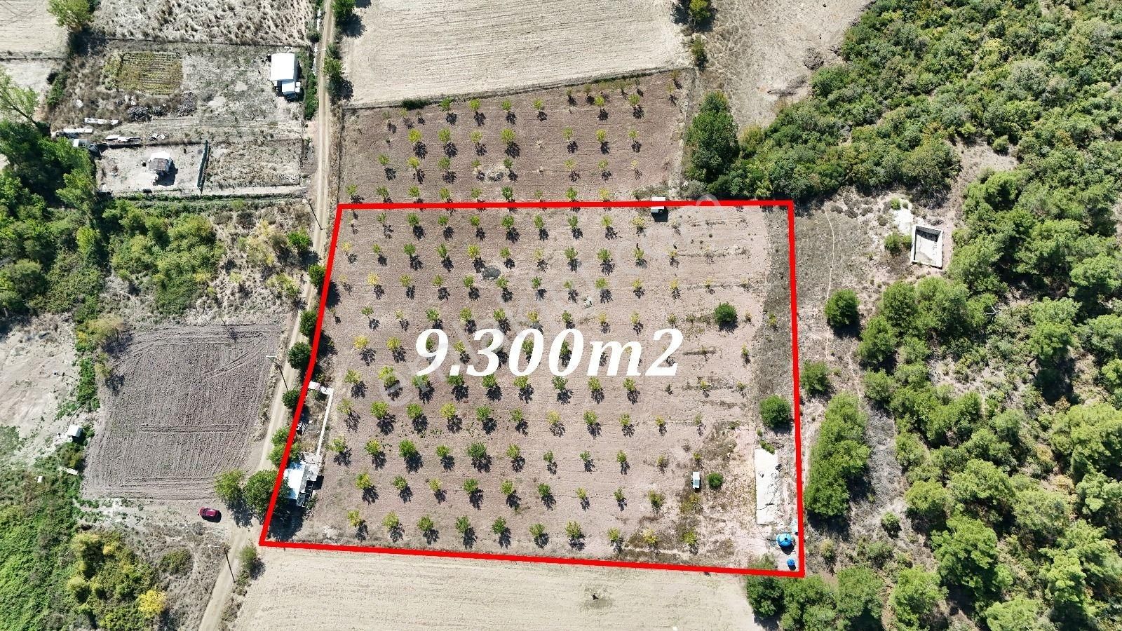 Bursa Yenişehir Marmaracıkta Yapı Kayıtlı Satılık Tarla