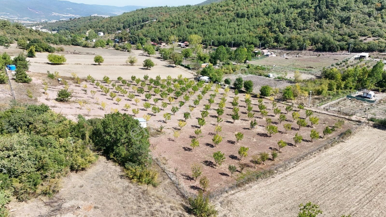 Bursa Yenişehir Marmaracıkta Yapı Kayıtlı Satılık Tarla - Görsel 4