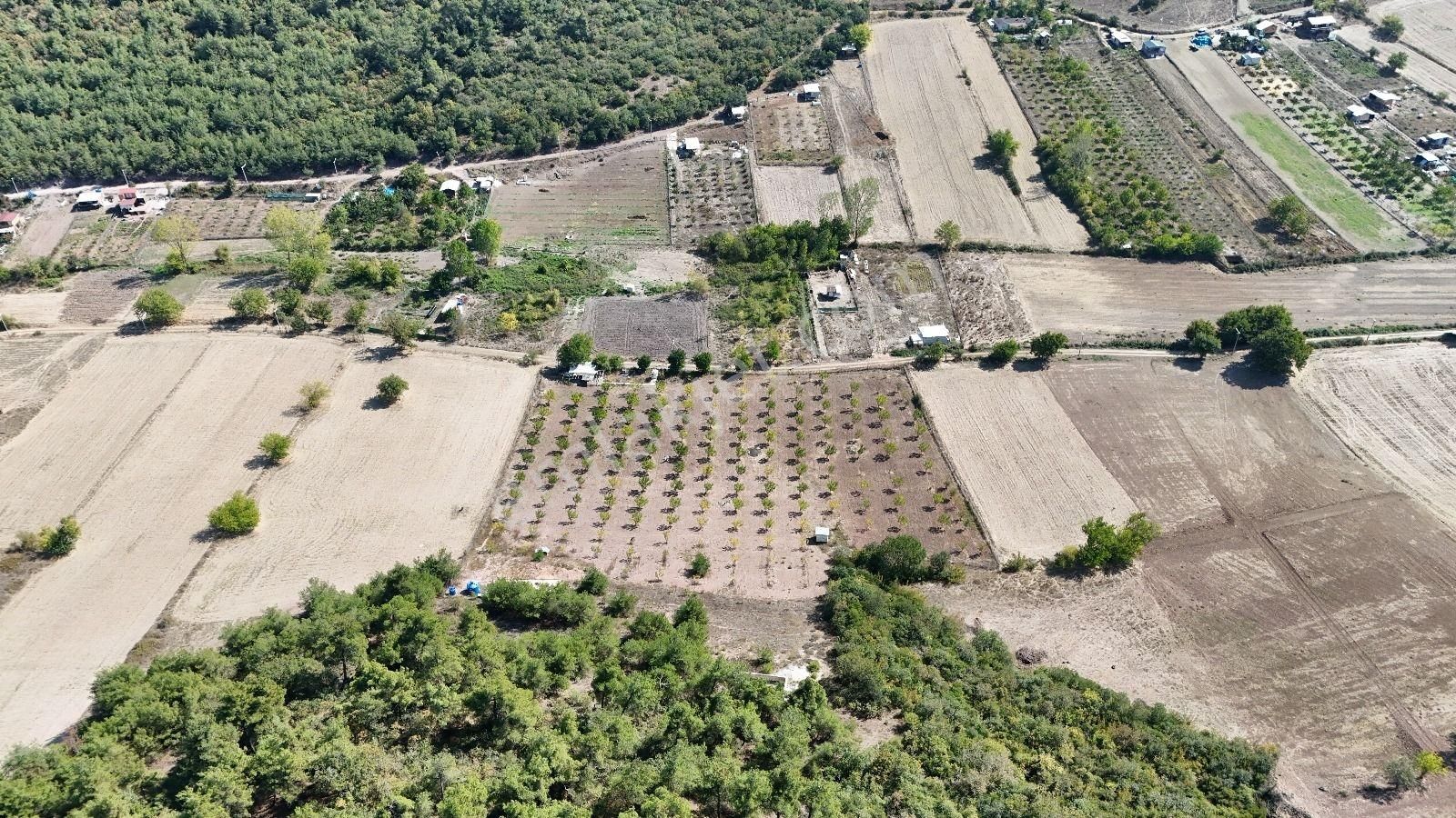 Bursa Yenişehir Marmaracıkta Yapı Kayıtlı Satılık Tarla - Görsel 34