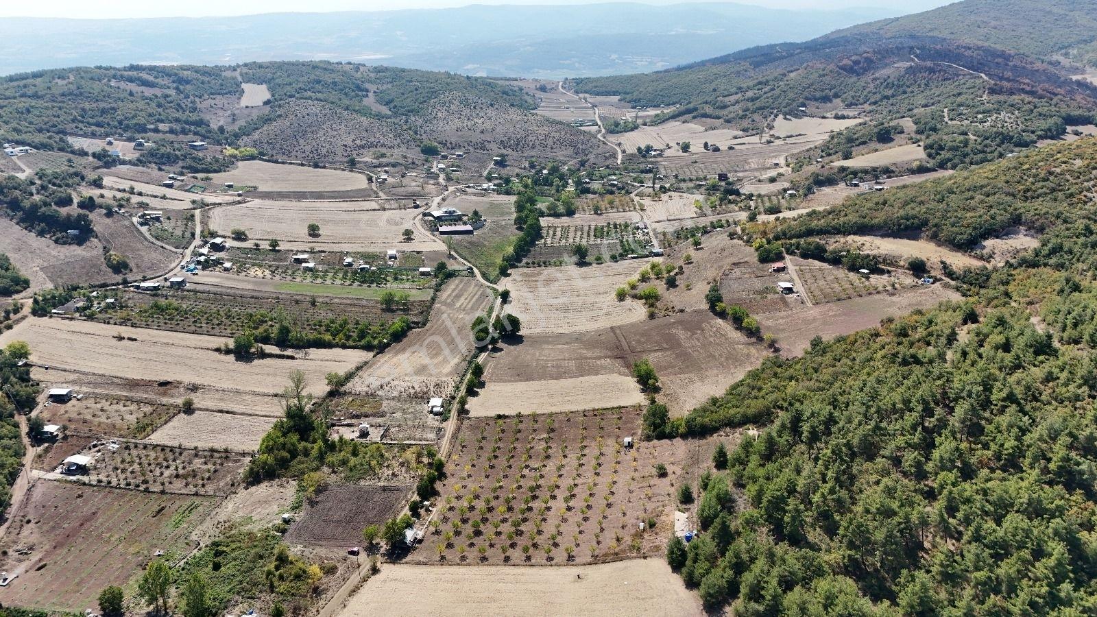 Bursa Yenişehir Marmaracıkta Yapı Kayıtlı Satılık Bahçe - Görsel 29