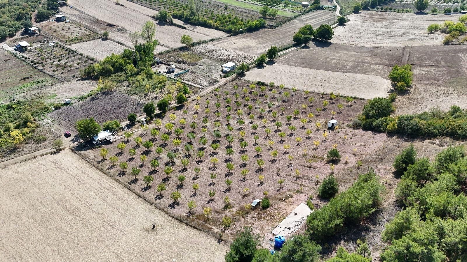 Bursa Yenişehir Marmaracıkta Yapı Kayıtlı Satılık Tarla - Görsel 16