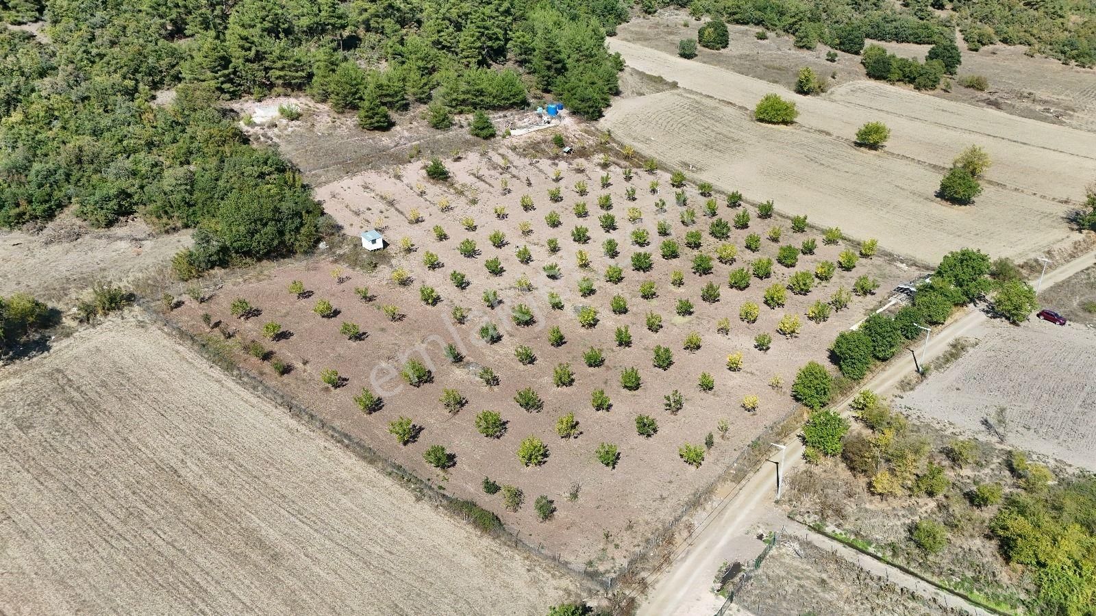 Bursa Yenişehir Marmaracıkta Yapı Kayıtlı Satılık Tarla - Görsel 2