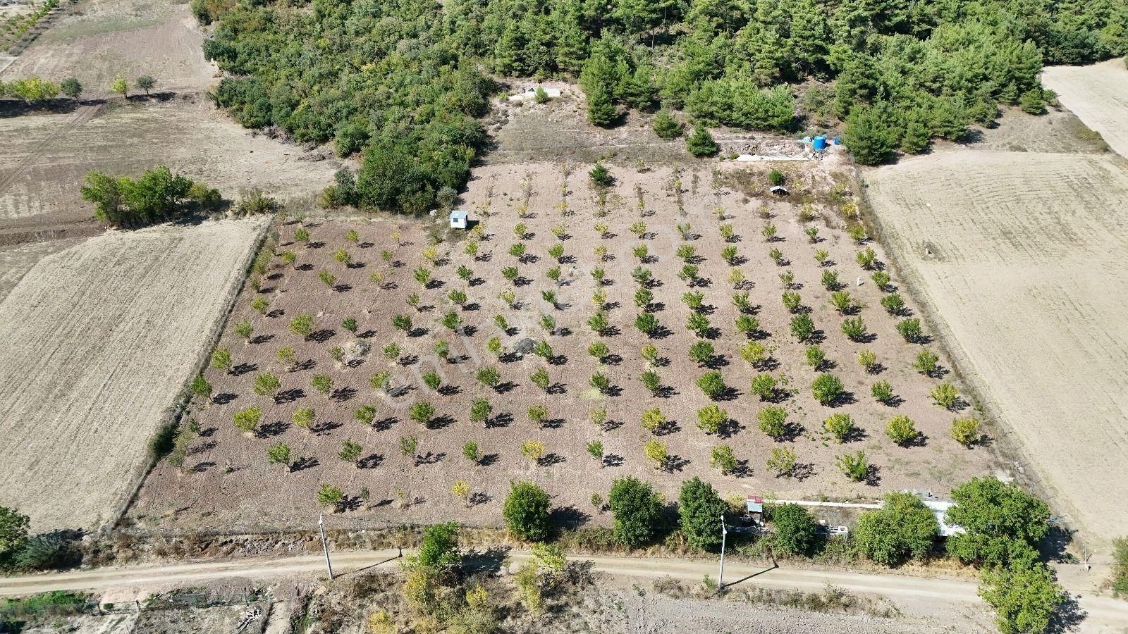 Bursa Yenişehir Marmaracıkta Yapı Kayıtlı Satılık Tarla - Görsel 33
