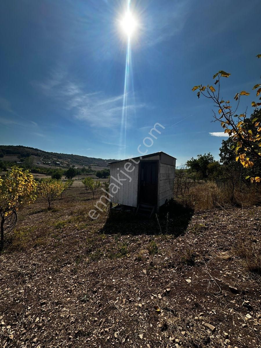 Bursa Yenişehir Marmaracıkta Yapı Kayıtlı Satılık Tarla - Görsel 31