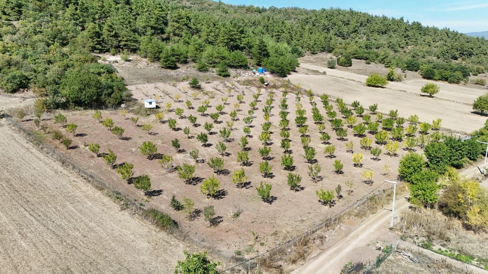 Bursa Yenişehir Marmaracıkta Yapı Kayıtlı Satılık Tarla - Görsel 7