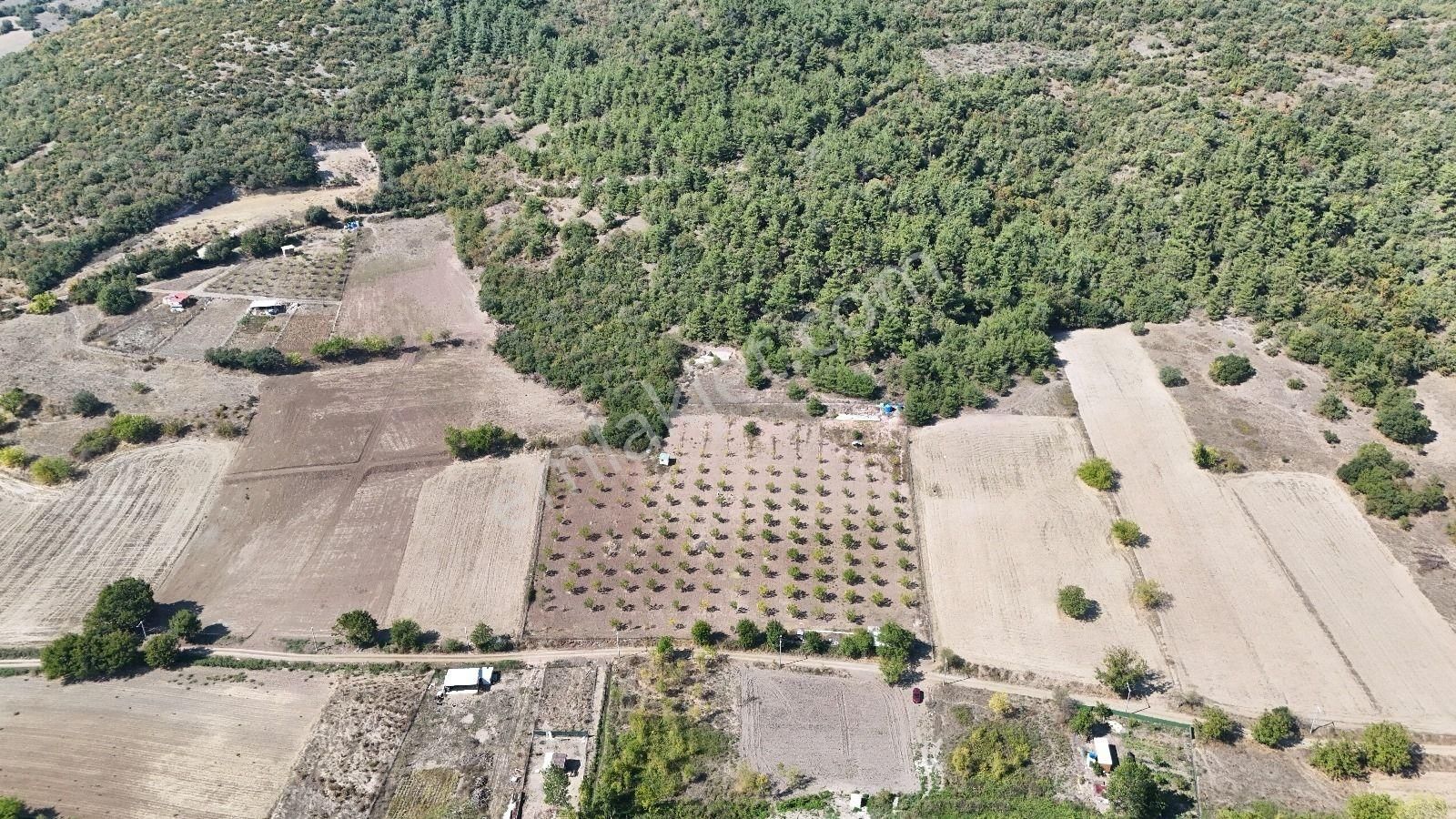 Bursa Yenişehir Marmaracıkta Yapı Kayıtlı Satılık Tarla - Görsel 23