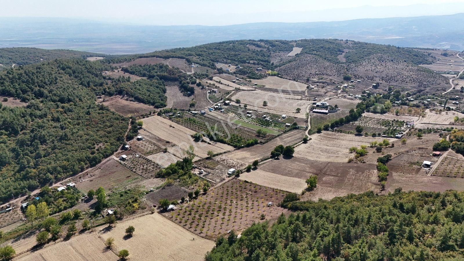 Bursa Yenişehir Marmaracıkta Yapı Kayıtlı Satılık Tarla - Görsel 6