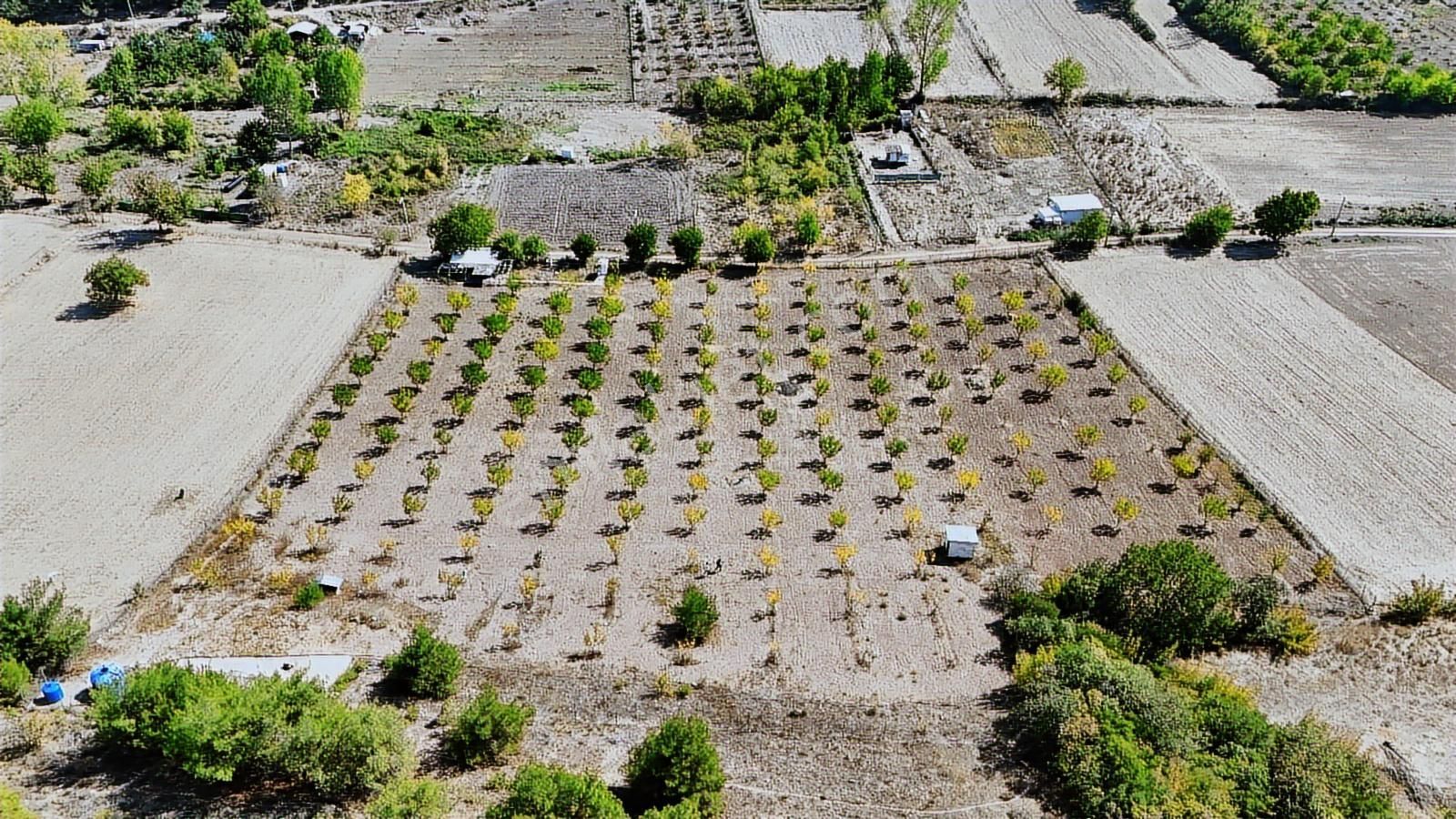 Bursa Yenişehir Marmaracıkta Yapı Kayıtlı Satılık Tarla - Görsel 12