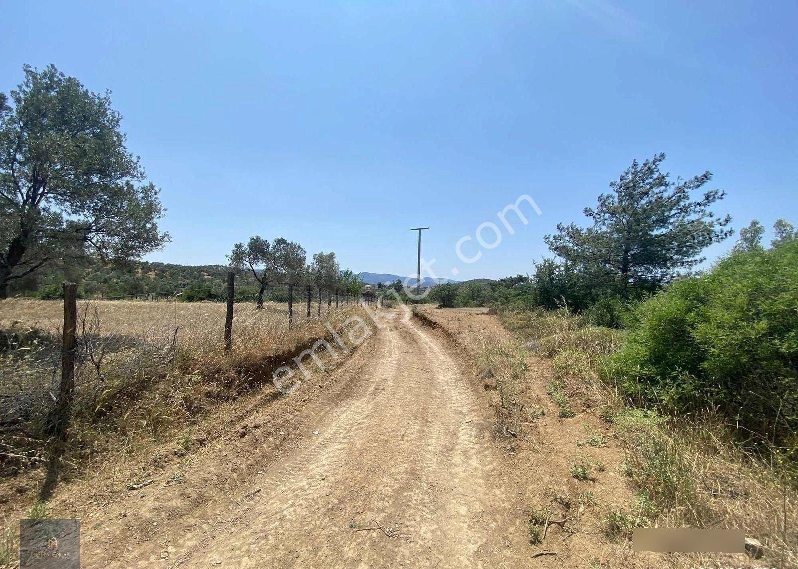 Mera Emlak'tan Havran Tepeoba Müstakil Tapulu 1800 M2 Zeytinlik - Görsel 2