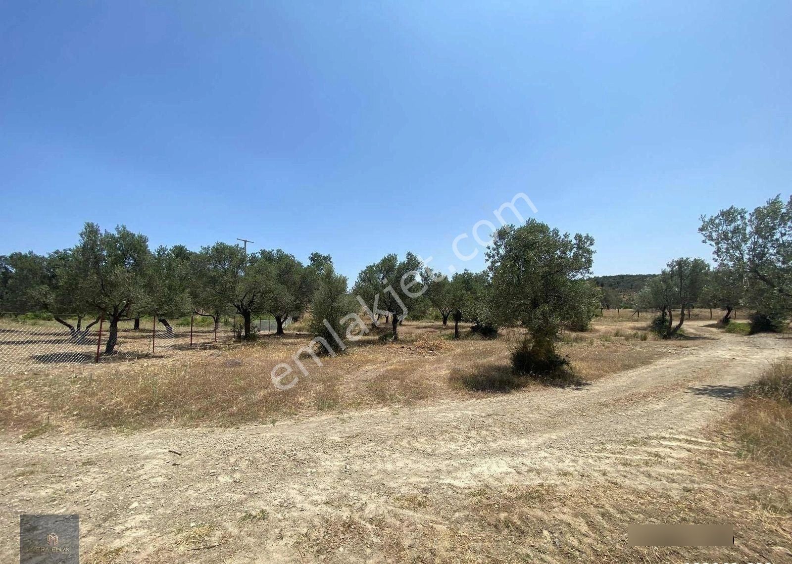 Mera Emlak'tan Havran Tepeoba Müstakil Tapulu 1800 M2 Zeytinlik - Görsel 21