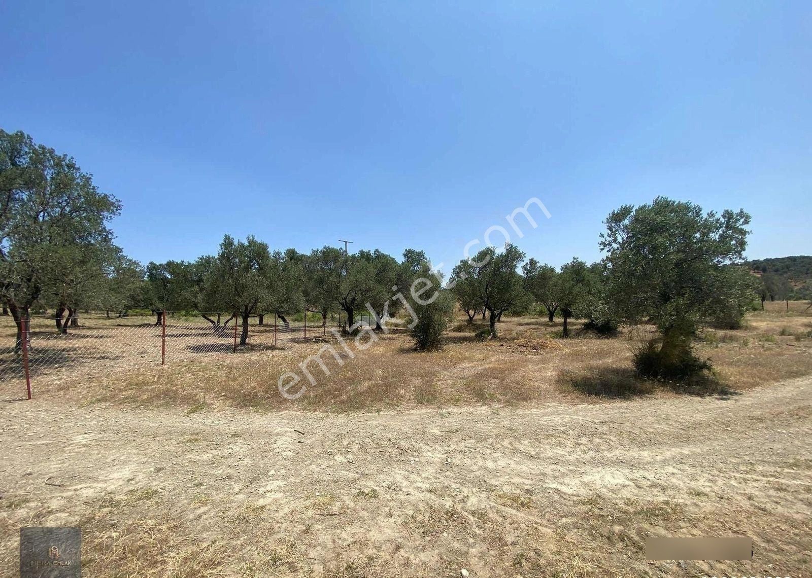 Mera Emlak'tan Havran Tepeoba Müstakil Tapulu 1800 M2 Zeytinlik - Görsel 33