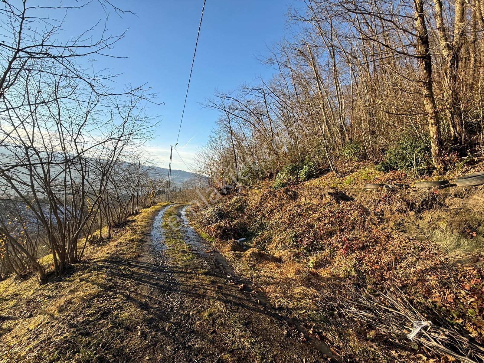 Trabzon'da Satılık Arazi - Görsel 32