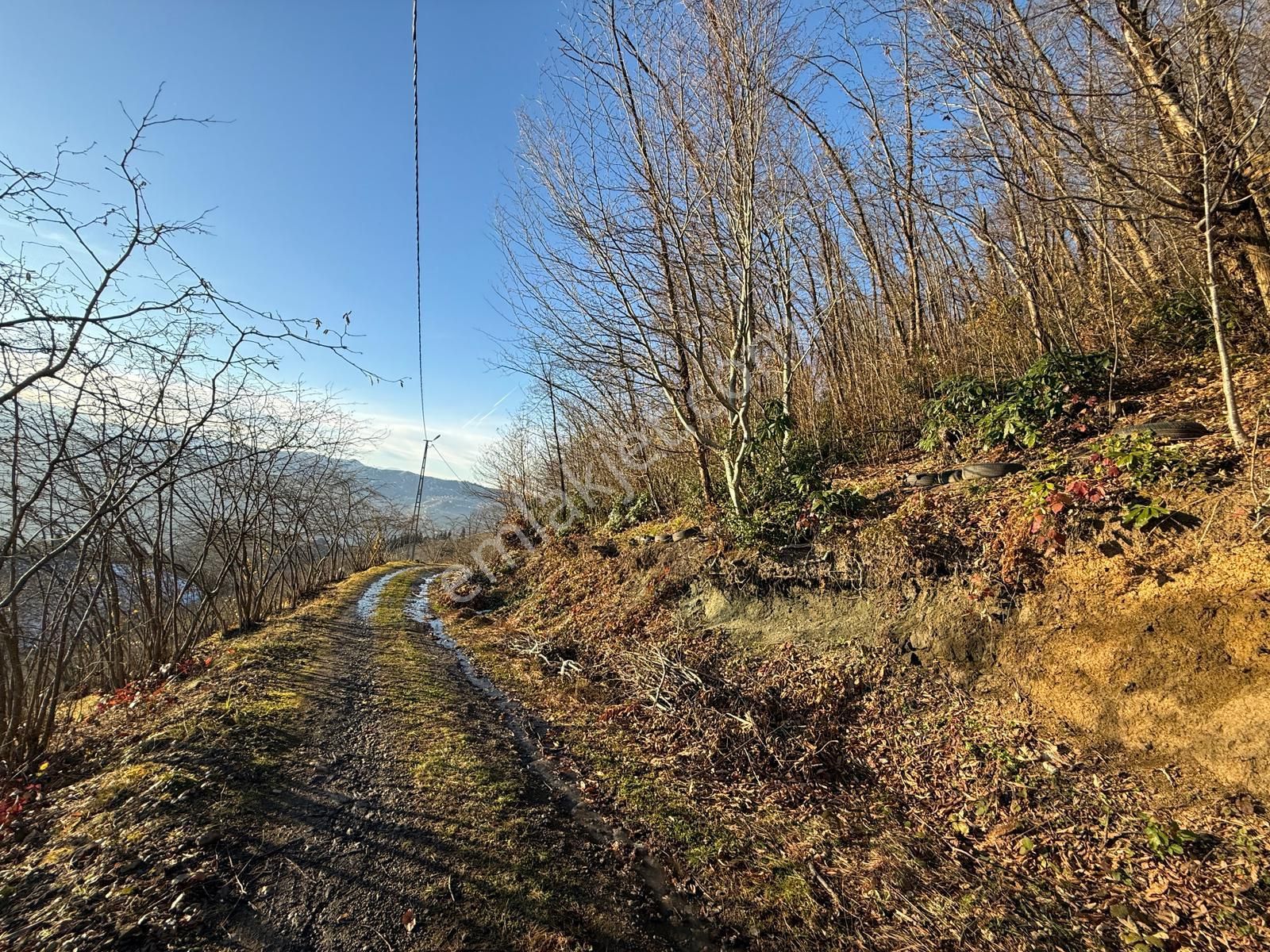 Trabzon'da Satılık Arazi - Görsel 34