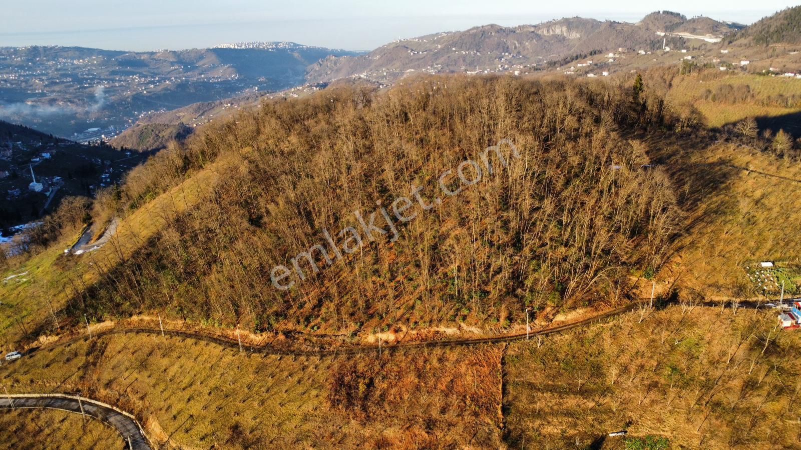 Trabzon'da Satılık Arazi - Görsel 16