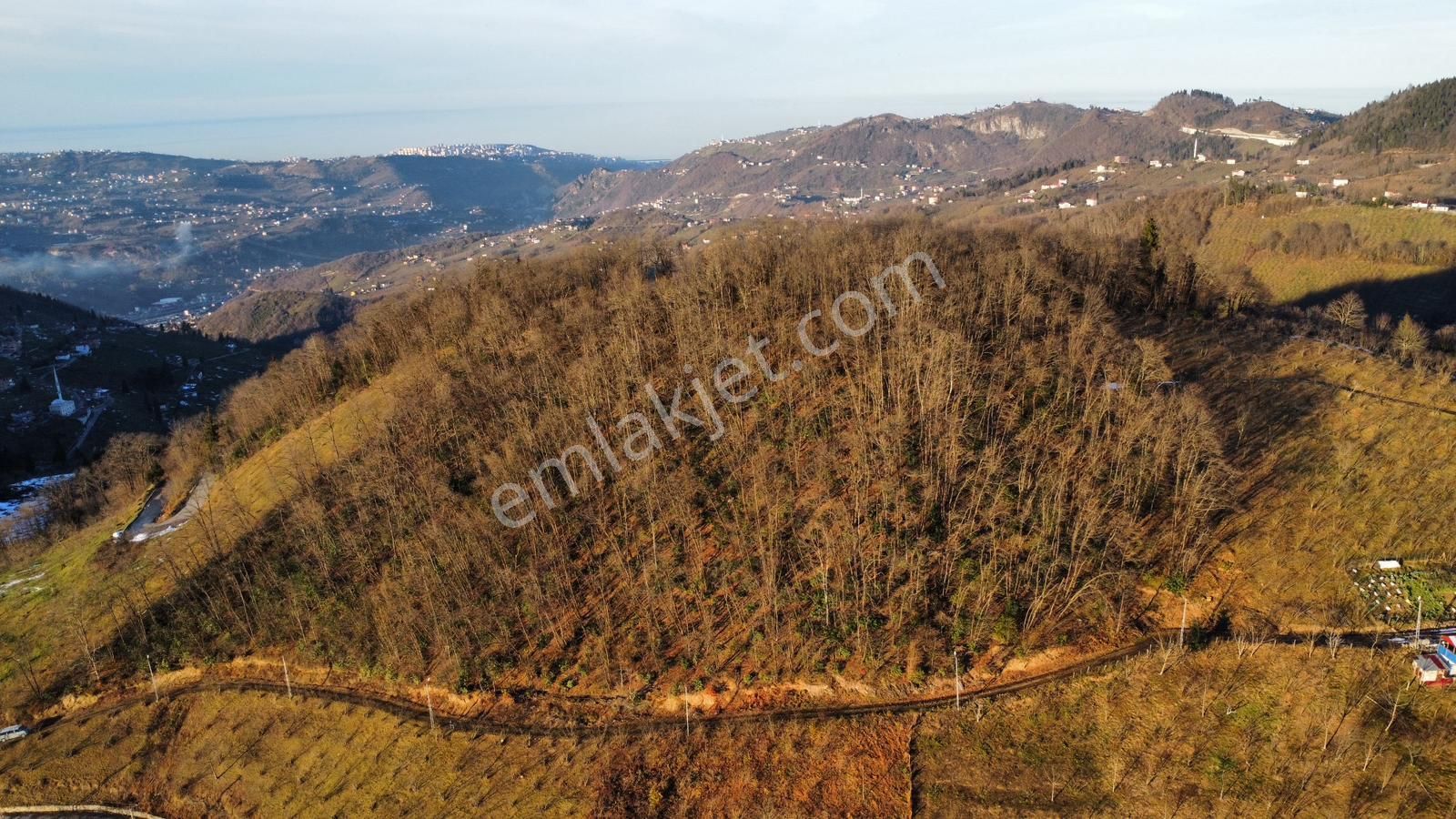 Trabzon'da Satılık Arazi - Görsel 11