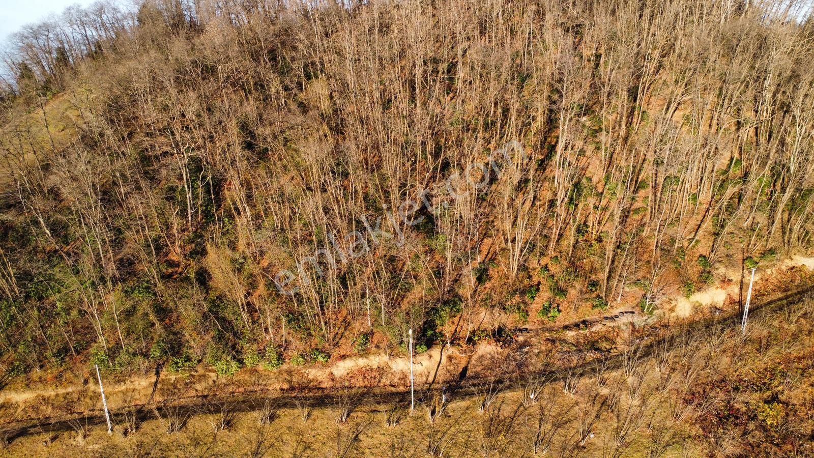 Trabzon'da Satılık Arazi - Görsel 14