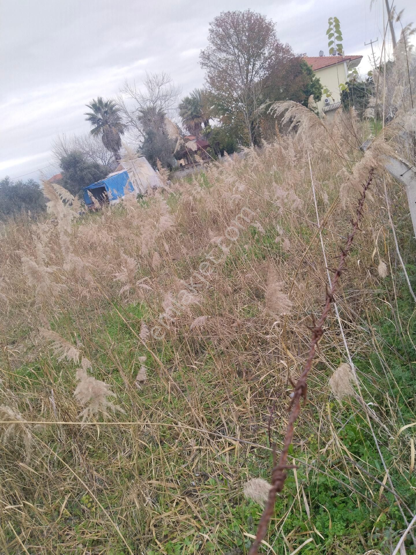 Mülk Emlaktan Ortaca'da Acil Satılık Arsa - Görsel 3