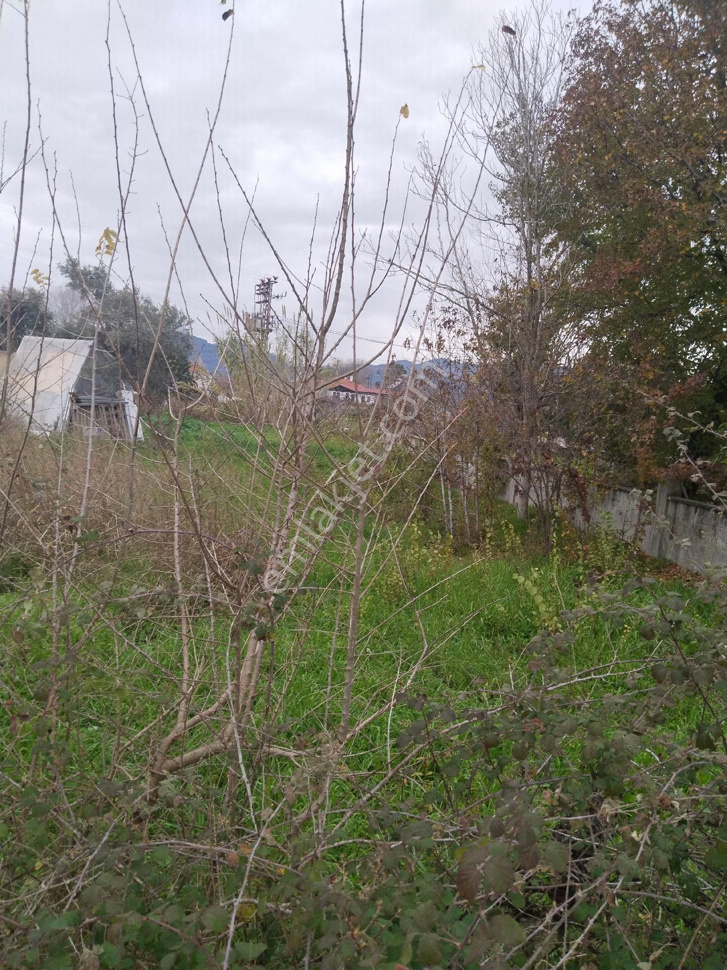 Mülk Emlaktan Ortaca'da Acil Satılık Arsa - Görsel 6