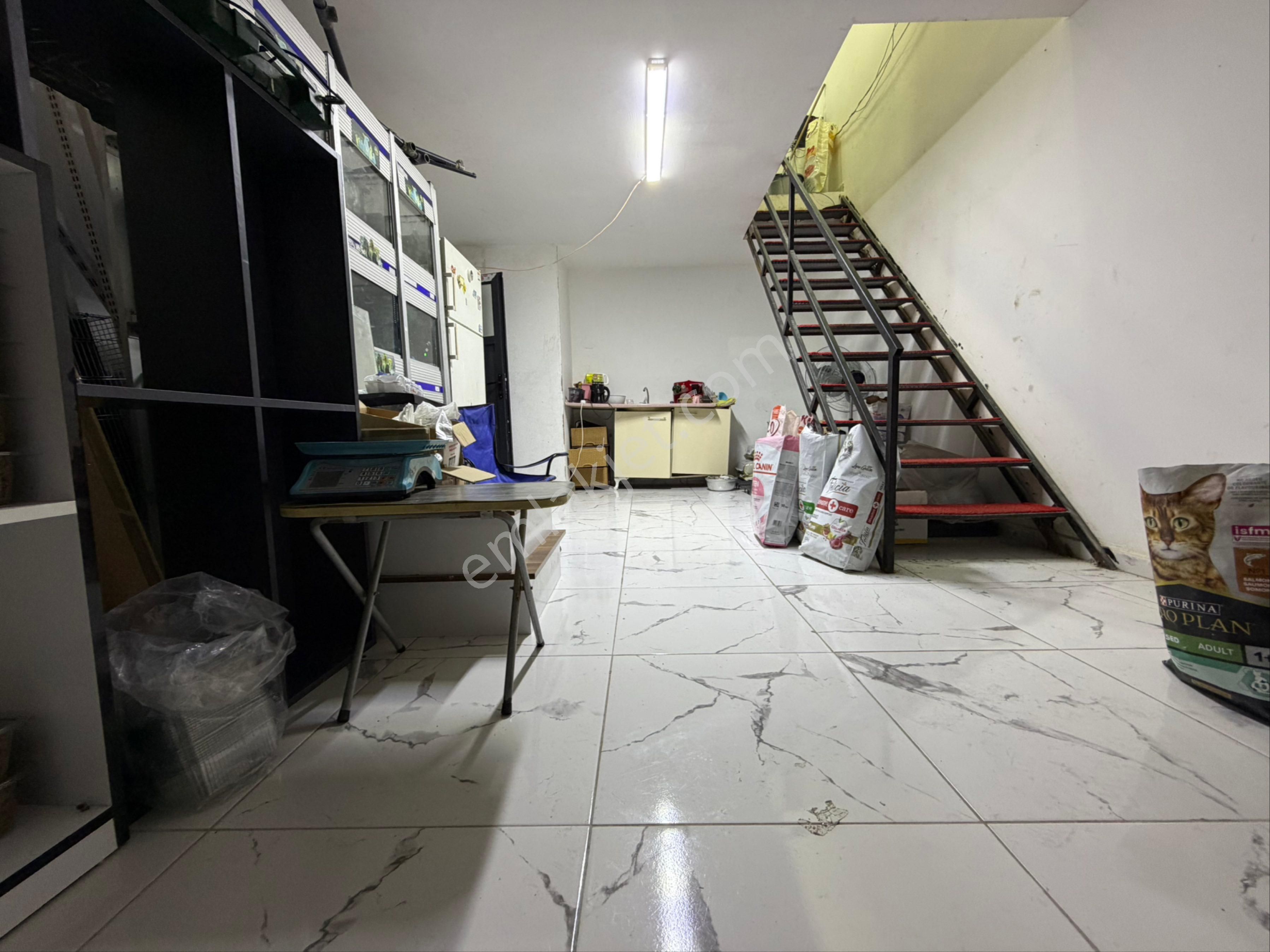 Avcılar’da Tabela Değeri Yüksek-işlek Cadde Üzerinde Pet Shop - Görsel 22