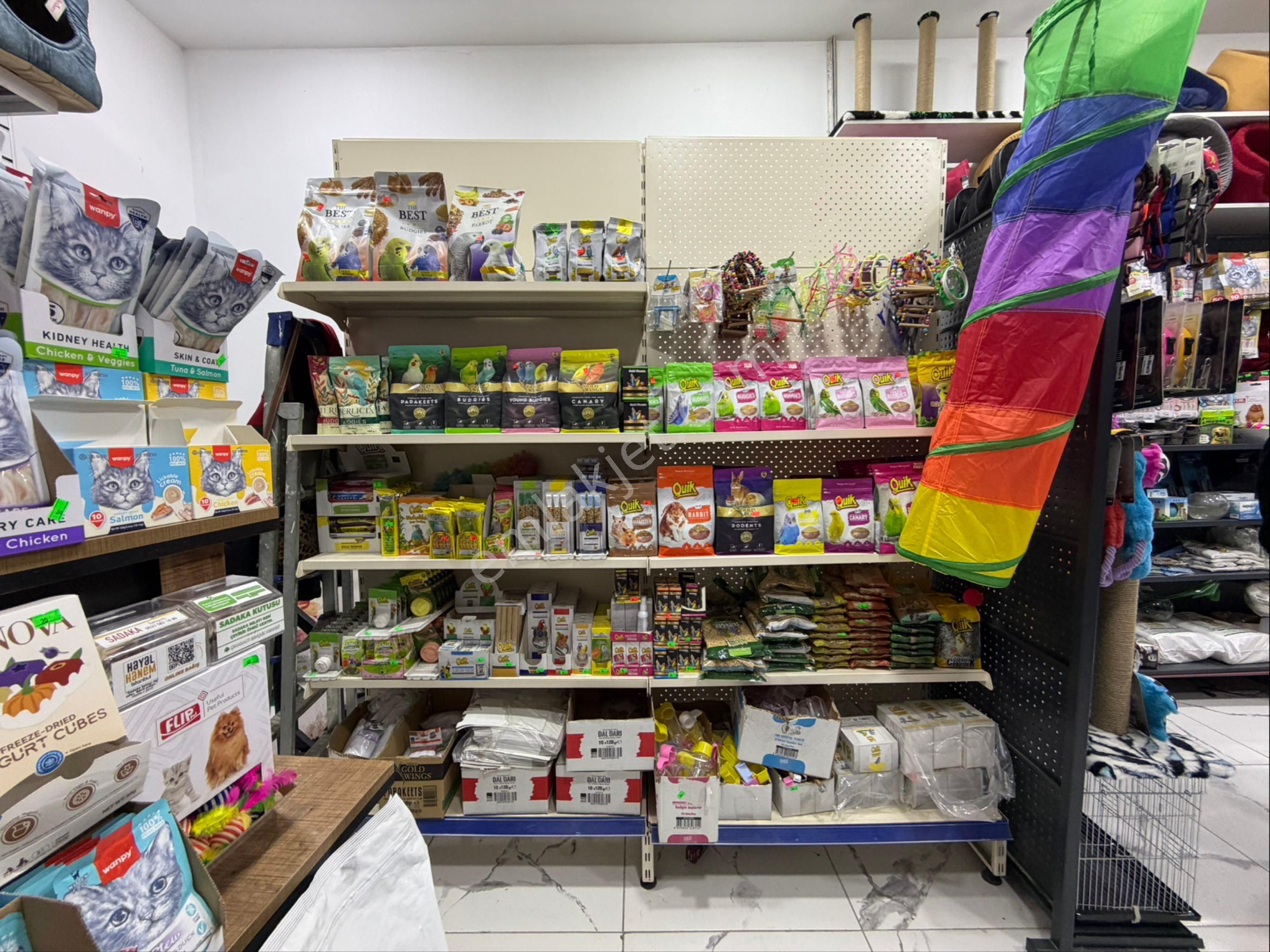 Avcılar’da Tabela Değeri Yüksek-işlek Cadde Üzerinde Pet Shop - Görsel 17