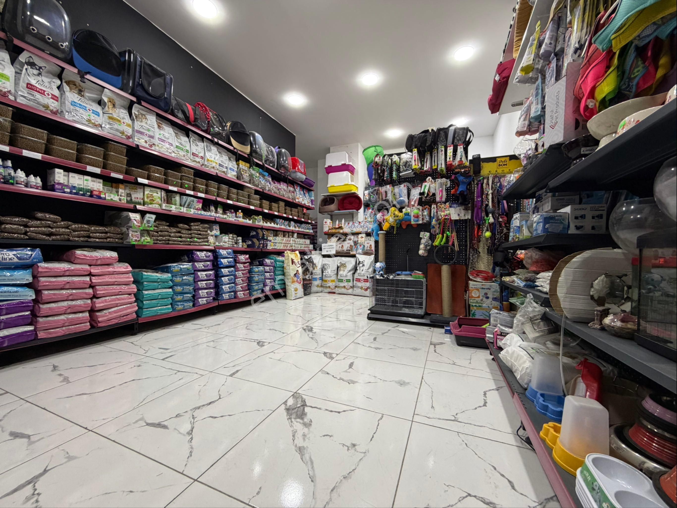 Avcılar’da Tabela Değeri Yüksek-işlek Cadde Üzerinde Pet Shop - Görsel 7