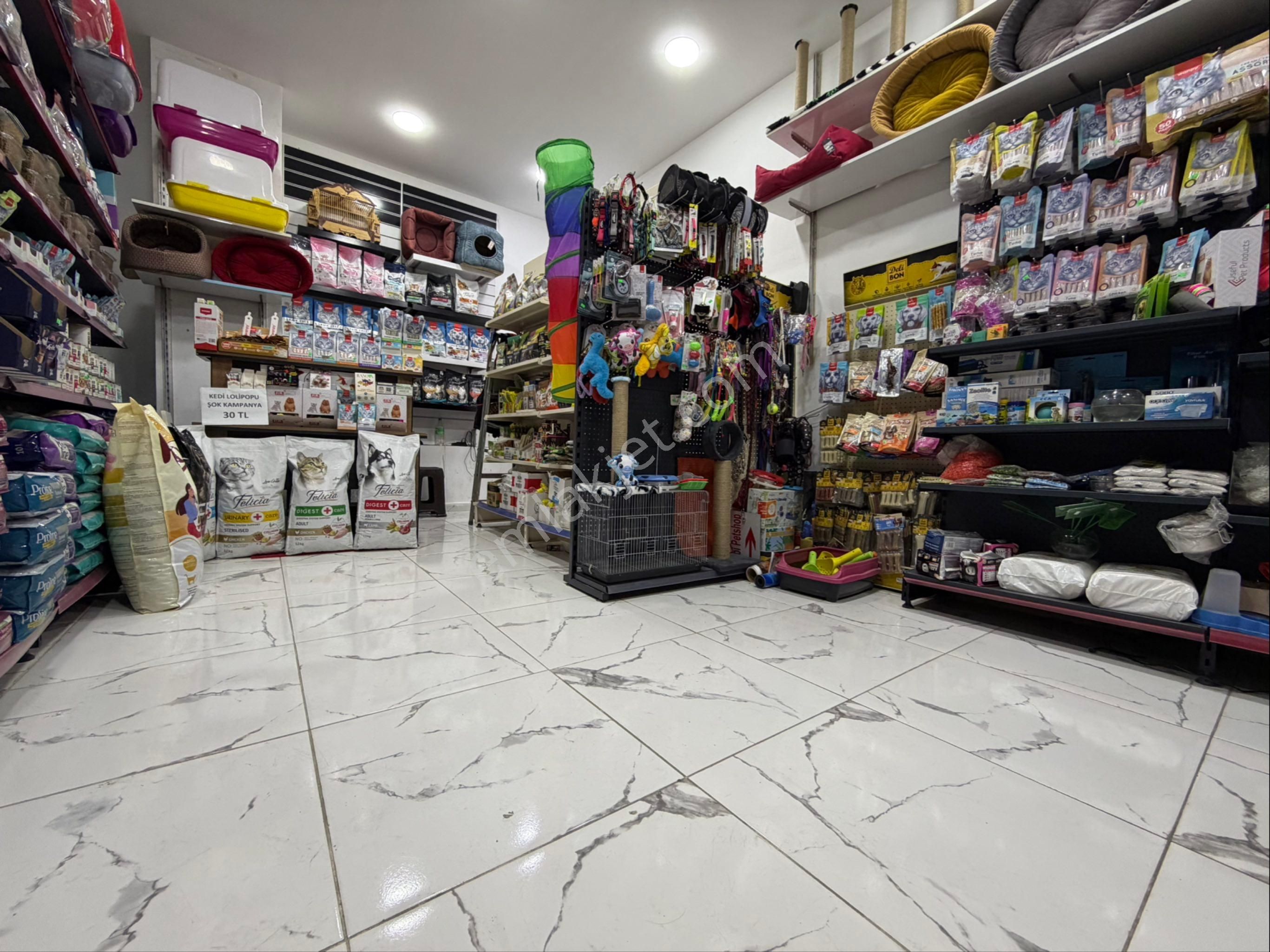 Avcılar’da Tabela Değeri Yüksek-işlek Cadde Üzerinde Pet Shop - Görsel 9